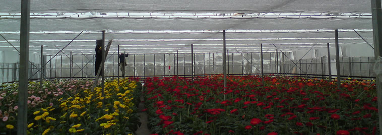 Postavljanje zavjesa