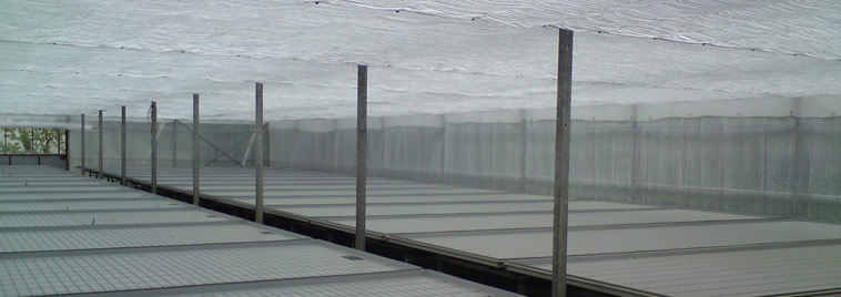 Potopni stolovi i zavjesa