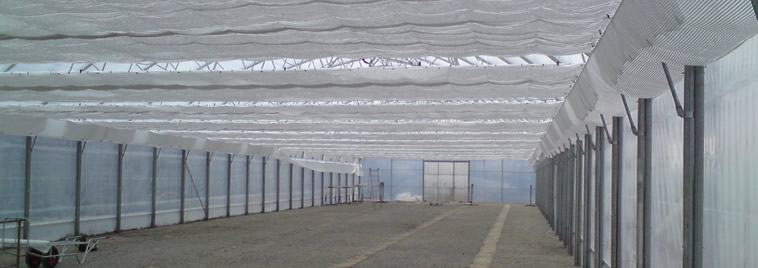 Zavjesa u plasteniku