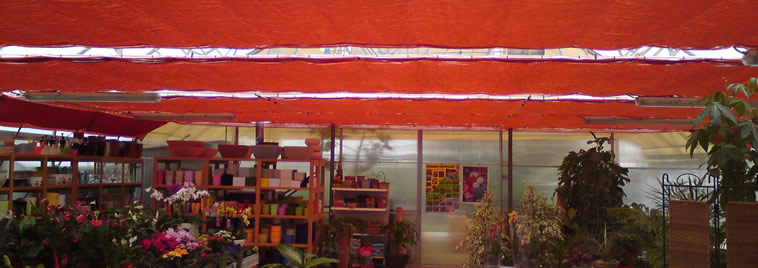 Zavjesa u prodajnom prostoru